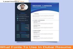 What Fonts To Use In Dubai Resume?